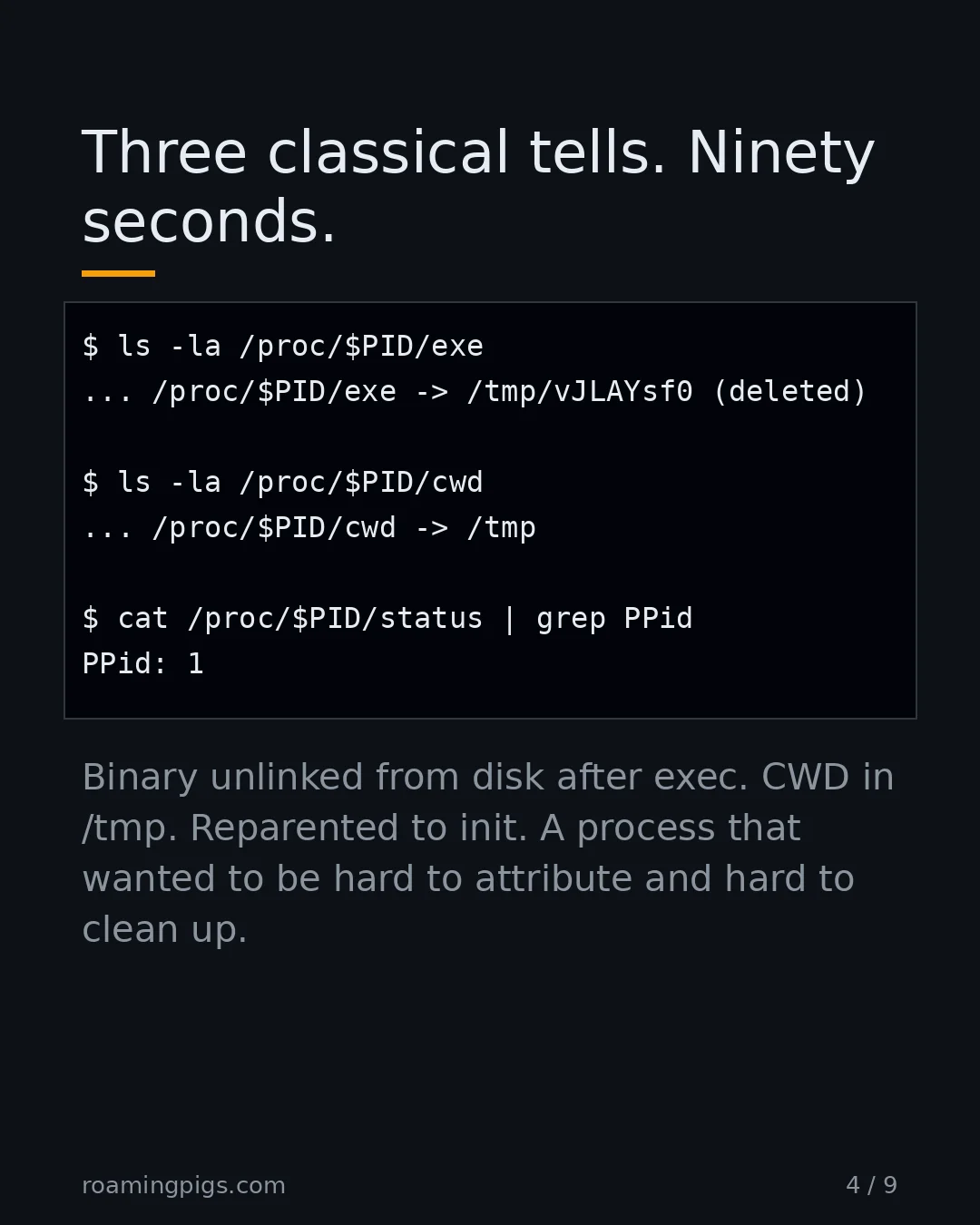 Slide 4 of 9: Three classical tells. Ninety seconds.. Code example. Binary unlinked from disk after exec. CWD in /tmp. Reparented to init. A process that…